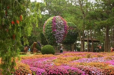 Lâm Đồng chuẩn bị chu đáo cho Festival Hoa Đà Lạt năm 2026