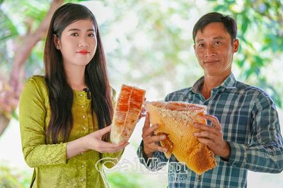Gác kèo ong - Nghe rừng kể chuyện