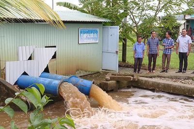 Mưa ngập, lúa rớt giá: Nông dân Cà Mau thêm khó cuối vụ Hè Thu