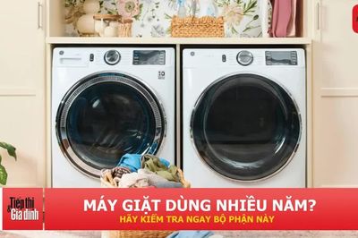 Máy giặt dùng lâu năm, đừng bỏ qua bộ phận nhỏ có thể gây ngập nhà