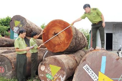 Ngành gỗ Hà Nội: Gỡ nút thắt từ nguyên liệu đến thị trường