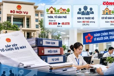 Bộ Nội vụ tiếp tục hướng dẫn tinh gọn đầu mối bên trong bộ máy