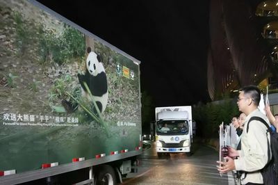 Hậu hội nghị thượng đỉnh Mỹ - Trung: Người Trung Quốc tiễn gấu trúc lên đường sang Mỹ