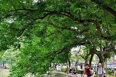 Dự báo thời tiết ngày 27/9: Hà Nội trời nắng, gió nhẹ