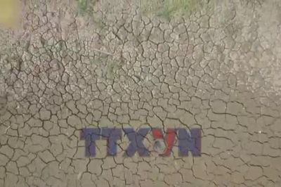 Thái Lan tăng dự trữ gạo ứng phó El Nino