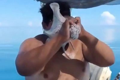 Bắt bạch tuộc giữa biển, ngư dân nhận cái kết không ai ngờ tới