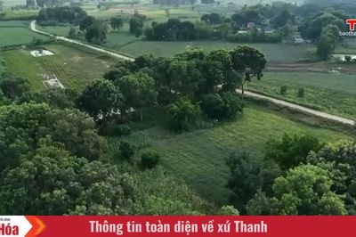 Về miền ký ức cách mạng