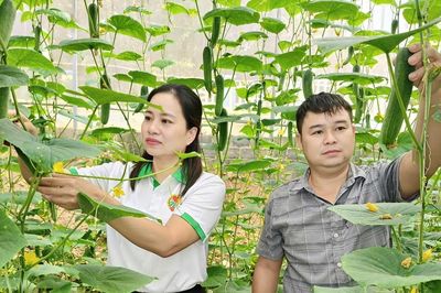 Khi nông dân miền núi Thường Xuân 'bắt nhịp' nông nghiệp bằng công nghệ và thị trường số