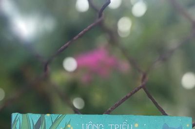 Hành trình trở về cánh đồng