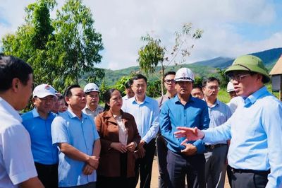 Chủ tịch UBND tỉnh Phạm Anh Tuấn kiểm tra công tác giải phóng mặt bằng, thi công tuyến cao tốc Quy Nhơn - Pleiku