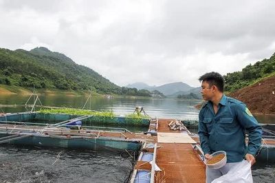 Đồng vốn chính sách mở lối sinh kế cho người dân vùng khó