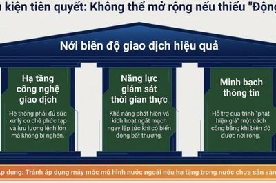 Hàn Quốc, Đài Loan nới biên độ giá cổ phiếu: Hướng đi nào cho Việt Nam?