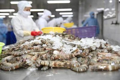 Xuất khẩu tôm tăng chậm lại, sang Mỹ và EU tiếp tục giảm