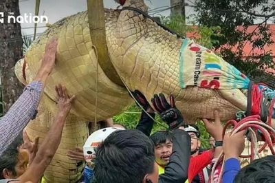 Thái Lan: Sơ tán cá sấu nặng hơn 400kg khỏi ngôi chùa ngập lụt vì lo sổng chuồng
