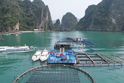 Chuyển từ nghiên cứu sang làm chủ công nghệ biển - Bài 1: Cần một 'bức tranh số' đầy đủ về biển