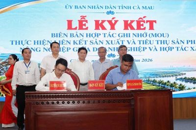 Phát triển HTX gắn với du lịch nông nghiệp để khai thác tài nguyên bản địa