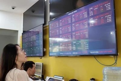 Chứng khoán ngày 28/9: VN-Index giảm điểm do áp lực bán từ nhóm cổ phiếu ngân hàng và chứng khoán