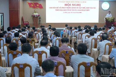 Kinh tế tập thể Cà Mau trước yêu cầu làm mới chính mình