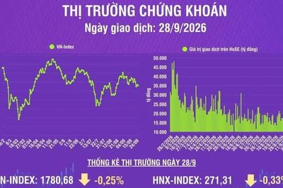[Infographic] Chứng khoán ngày 28/9: VN-Index giảm 4,43 điểm, khối ngoại tiếp tục bán ròng