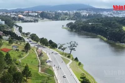 [Video] Thi công sửa chữa kè chống sạt lở cho hồ Xuân Hương Đà Lạt