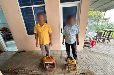 Xử lý 2 'ông lữ ' kích điện