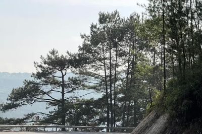 Lâm Đồng: Khẩn cấp mở rộng đường đèo Mimosa trước nguy cơ đứt gãy nền đường