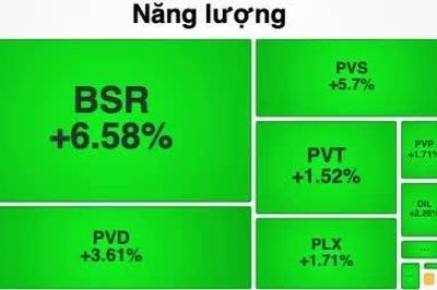Nhóm cổ phiếu dầu khí, hoá chất tăng mạnh