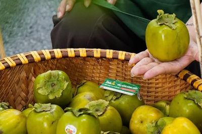 Hồng da tre Thái Nguyên chạm mốc 200.000 đồng/kg vẫn đắt hàng