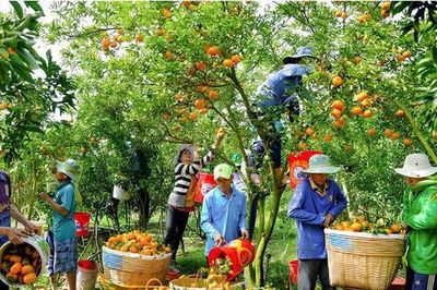 Thúc đẩy sự phát triển vựa nông sản Đồng bằng sông Cửu Long
