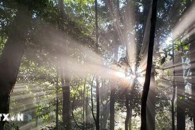 Vườn Quốc gia Kon Ka Kinh - món quà thiên nhiên vô giá của cao nguyên Gia Lai