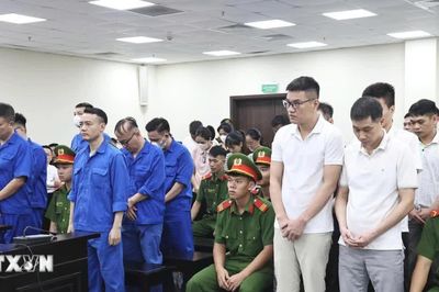 Ông trùm sản xuất 426 lô sản phẩm sữa giả bị phạt 30 năm tù
