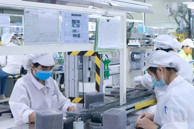 Tổ chức nước ngoài phải đăng thông tin tuyển lao động Việt Nam trên Sàn việc làm quốc gia