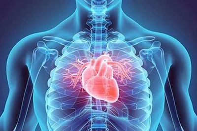 Cách đơn giản phát hiện sớm dấu hiệu lão hóa tim ở người cao tuổi