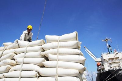 Doanh nghiệp xuất khẩu gạo trước loạt quy định mới áp dụng từ ngày 1/10