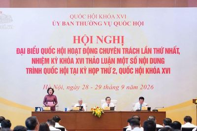 Đại biểu Quốc hội đề xuất mốc miễn thuế 3 năm tính từ khi doanh nghiệp phát sinh thu nhập chịu thuế
