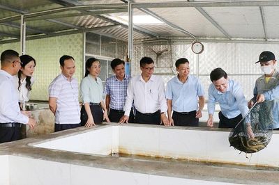Bắc Ninh: Mở rộng liên kết, nâng giá trị nông sản