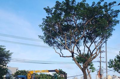 Kích hoạt kịch bản ứng phó thiên tai - Kỳ 1: Sẵn sàng mọi phương án