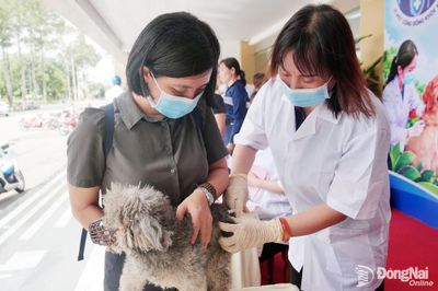 NGÀY THẾ GIỚI PHÒNG, CHỐNG BỆNH DẠI (28-9): Tiêm vaccine cho chó, mèo để ngăn ngừa bệnh dại