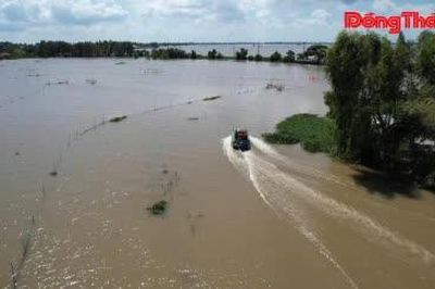 Đồng Tháp: Phòng, chống buôn lậu mùa nước nổi