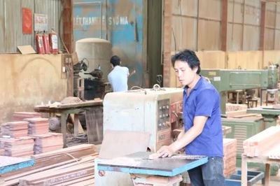 Gia Lai chấp thuận dự án Nhà máy chế biến và sản xuất đồ gỗ nội thất xuất khẩu