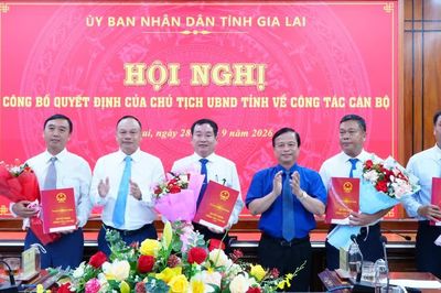 Ông Trần Nguyên Tú giữ chức Chủ tịch Hội đồng thành viên Công ty TNHH Lâm nghiệp Gia Lai