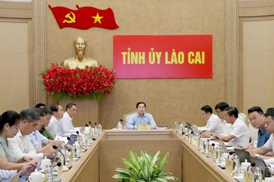 Lào Cai quyết liệt triển khai các nhiệm vụ chuyển đổi số được Trung ương giao