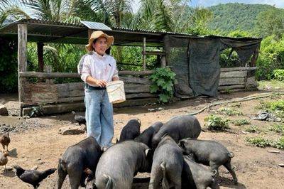 Từ đàn heo đen đến sinh kế cho phụ nữ