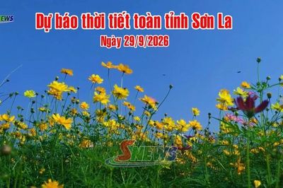 Dự báo thời tiết toàn tỉnh Sơn La ngày 29/9/2026