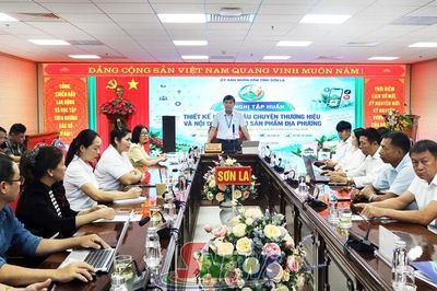 Bao bì mới, câu chuyện mới và nội dung số cho sản phẩm nông sản Sơn La