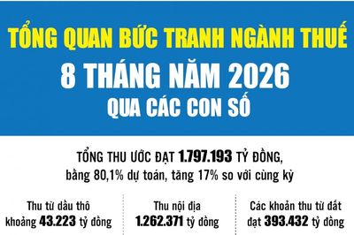 Infographics: Tổng quan bức tranh ngành Thuế 8 tháng năm 2026 qua các con số