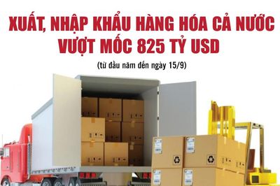 Infographics: Tổng kim ngạch xuất, nhập khẩu hàng hóa cả nước đến ngày 15/9 đạt 825,2 tỷ USD