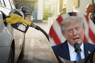 Tổng thống Trump cân nhắc cấm xuất khẩu dầu diesel