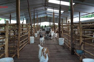 TP. Đồng Nai: Tiếp sức vùng biên phát triển kinh tế