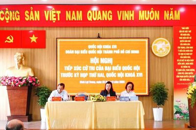 Cử tri TP. Hồ Chí Minh kiến nghị tháo gỡ những vấn đề thiết thực từ thực tiễn